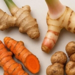 Peran Herbal dalam Pengobatan Modern dan Pencegahan Penyakit Kronis