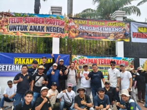 Peternak Rakyat di Ujung Tanduk, Ribuan Peternak Ayam Petelur Gelar Demo Nasional di DPR RI Hari Ini