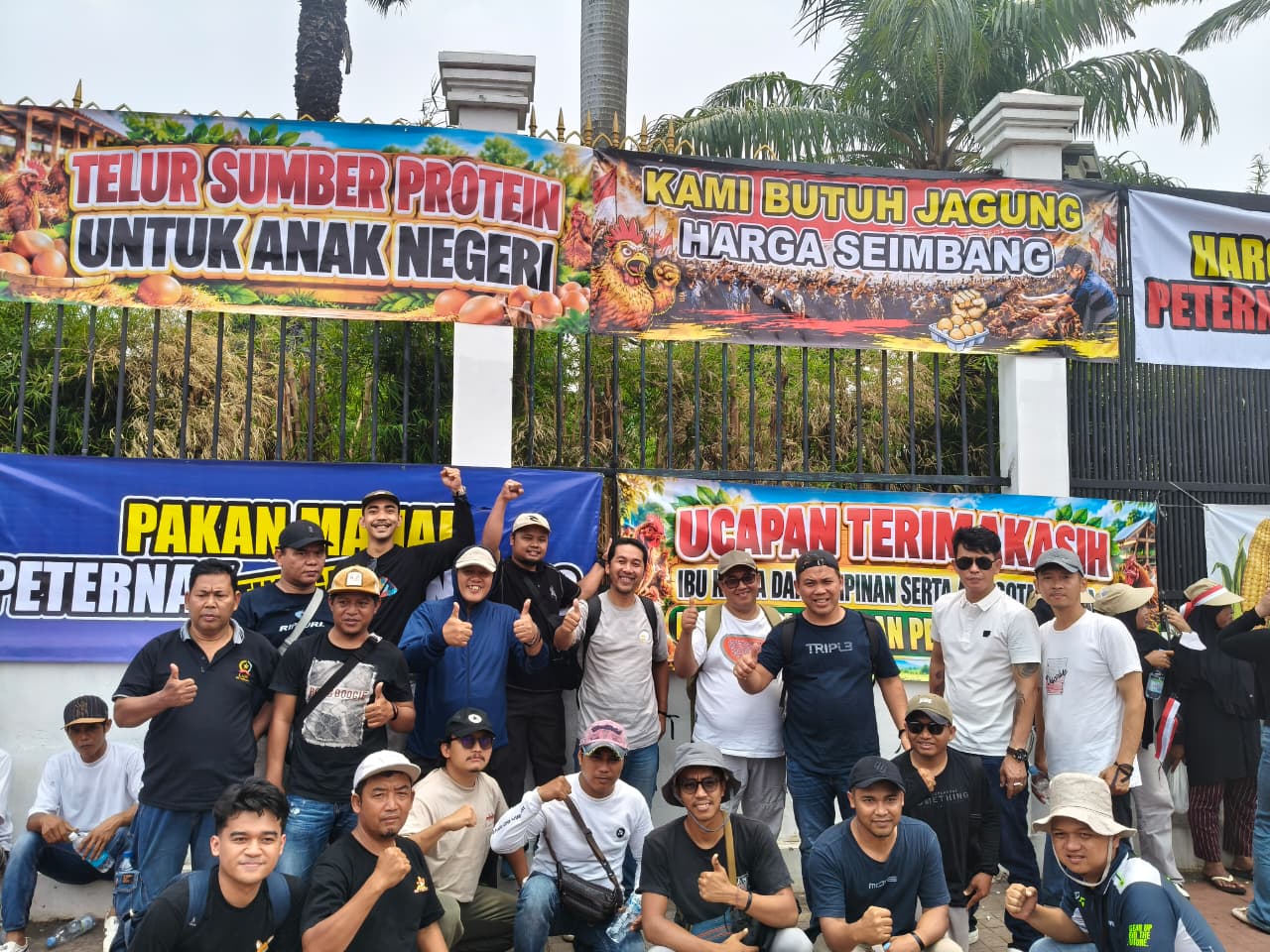 Peternak Rakyat di Ujung Tanduk, Ribuan Peternak Ayam Petelur Gelar Demo Nasional di DPR RI Hari Ini